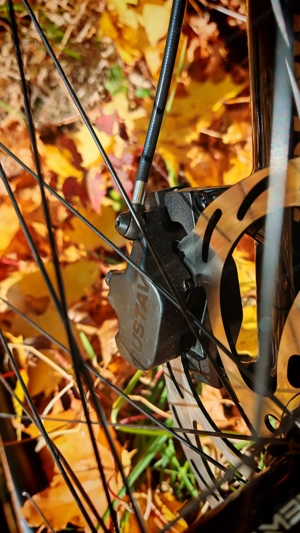 RADON Deft 10.0 800 2025, eMTB high-end Ausstattung Bild 6