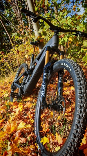 RADON Deft 10.0 800 2025, eMTB high-end Ausstattung Bild 8