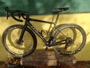 Rennrad Carbon Olympia Leader