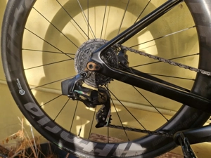 Rennrad Carbon Olympia Leader Bild 3