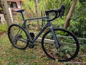 Canyon Endurace CF 6   2023 (Größe L) Bild 7