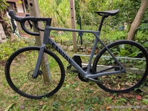 Canyon Endurace CF 6   2023 (Größe L)