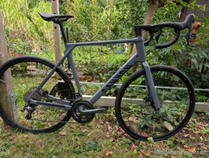 Canyon Endurace CF 6   2023 (Größe L) Bild 2