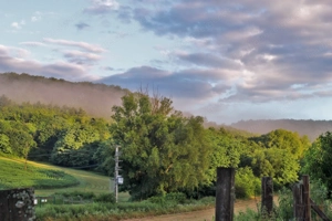 Sehr schönes Haus in Ungarn Bild 2