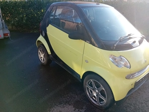Smart 450 Schlachtfest Bild 2