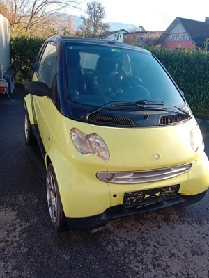 Smart 450 Schlachtfest Bild 3