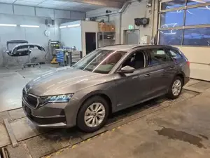 Skoda Octavia Bild 13