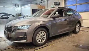Skoda Octavia Bild 12