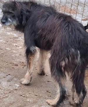 Stache wartet auf SEINE Familie - NOTFALL Bild 3