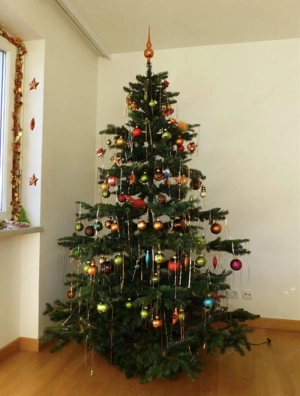 Weihnachtsbaum mit fixer Beleuchtung  Bild 2