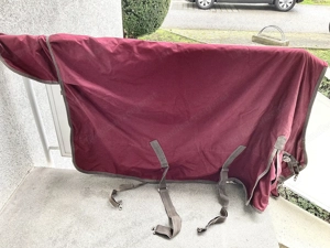 Regendecke Felix Bühler Bild 2