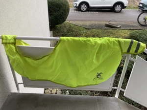 Pferd Ausreitdecke, Spazierdecke, Gamaschen Bild 2