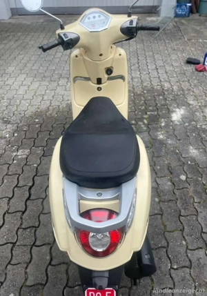 Beeline Moped Bild 4