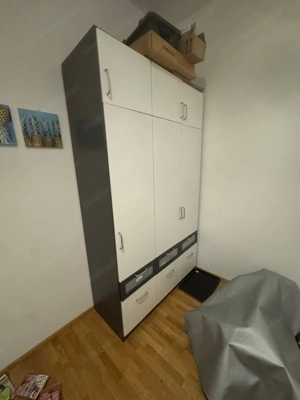 Zum Verschenken! Selbstabholung  Bild 3