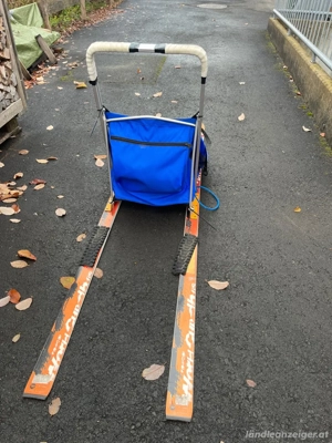 Hundeschlitten Bild 2