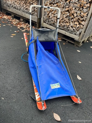 Hundeschlitten Bild 4