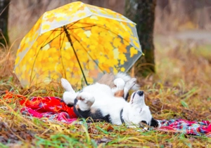 Belle möchte noch die Welt sehen... Bild 3