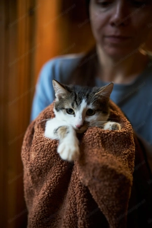 Kleiner Atlas sucht Traum Zuhause Bild 3