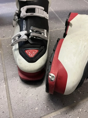 Ski und Skischuhe zu verschenken!