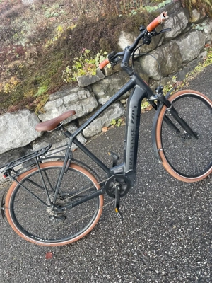 Kraftstoff Herrenfahrrad  Bild 5