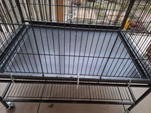 Vogel Voliere,neu  Bild 3