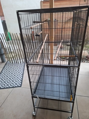 Vogel Voliere,neu  Bild 2