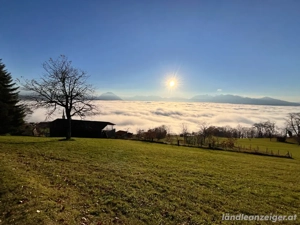 Suche Haus oder Grund in der Region Vorderland