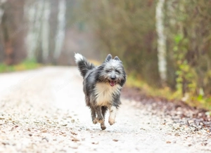 Menschen Bezogener Topotun sucht liebe Menschen Bild 2