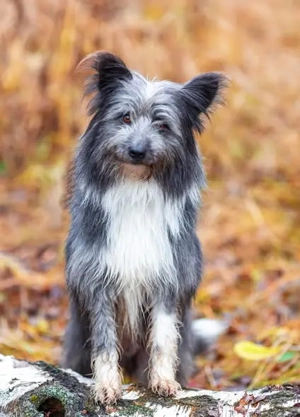 Menschen Bezogener Topotun sucht liebe Menschen Bild 3