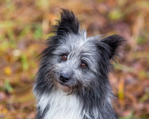 Menschen Bezogener Topotun sucht liebe Menschen Bild 4