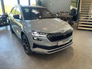 Skoda Karoq Bild 3