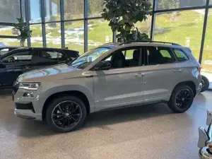Skoda Karoq Bild 4