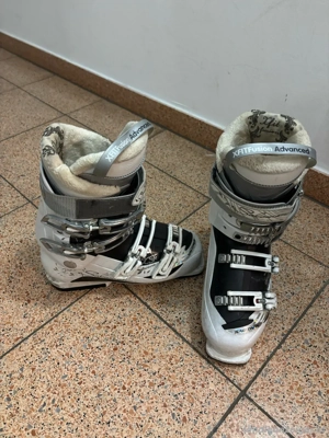 Salomon Skischuh Gr. 39