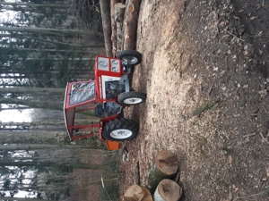 Lindner BF 250 inkl. Hänger und Heckmulde Bild 4