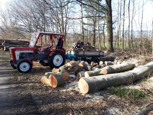 Lindner BF 250 inkl. Hänger und Heckmulde Bild 5