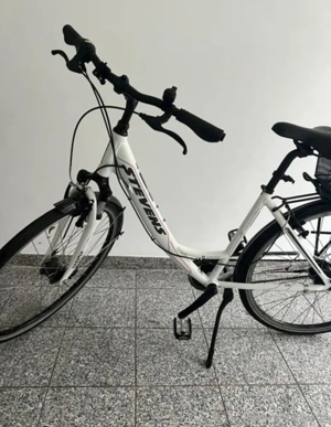Elektrofahrrad  Bild 2