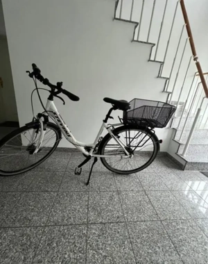 Elektrofahrrad  Bild 3