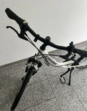 Elektrofahrrad  Bild 4