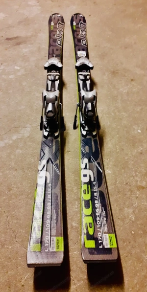 Alpin Ski - Rennski Herren  Bild 2