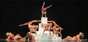 Kreativer, vielseitiger Künstler sucht Team  Bild 6