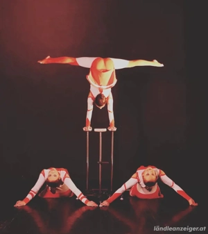 Kreativer, vielseitiger Künstler sucht Team  Bild 8