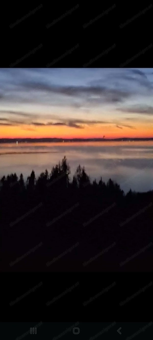 1 Zimmer mit Küche,  Dusche mit WC,  Balkon  Bild 2