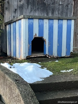 Hundehütte zu verschenken
