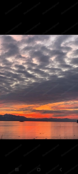 1 Zimmerwohnung mit Küche Dusche und WC  Bild 2