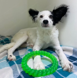 Blanca will endlich ankommen