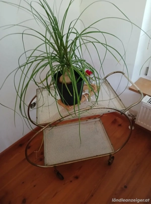 gut erhaltener antiker Servierwagen