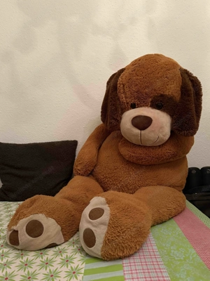 kuscheliger Bär zu verschenken Bild 3