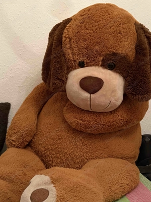 kuscheliger Bär zu verschenken Bild 2