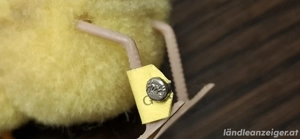 Original STEIFF Bild 2