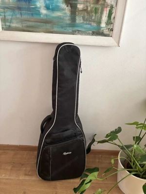 tolle Westerngitarre Marke Signa Bild 4